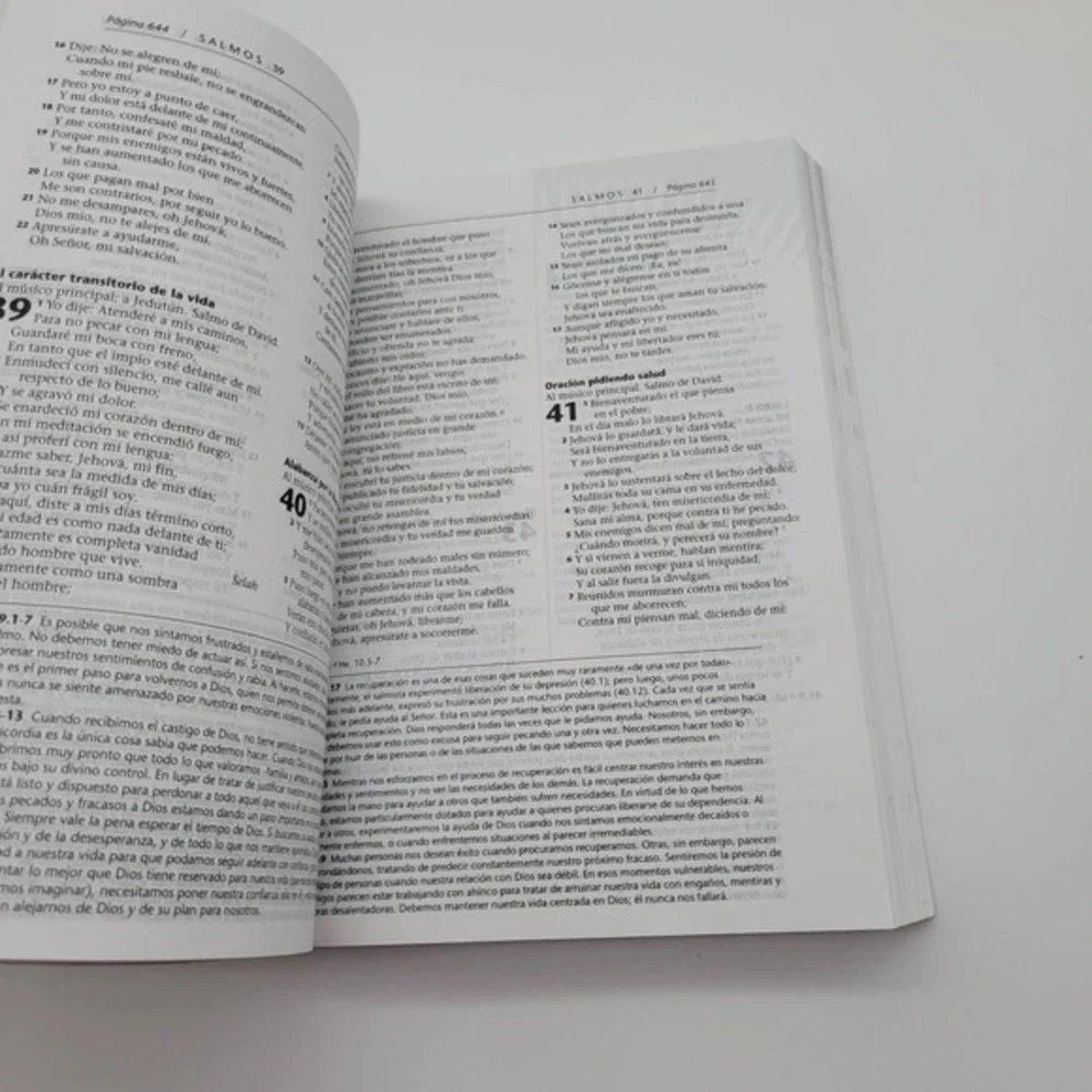 Biblia Renacer‎ Una Oportunidad Para volver a Empezar Spanish Bible